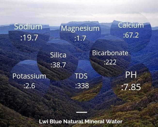 LWI BLUE HEALTHY MINERAL WATER