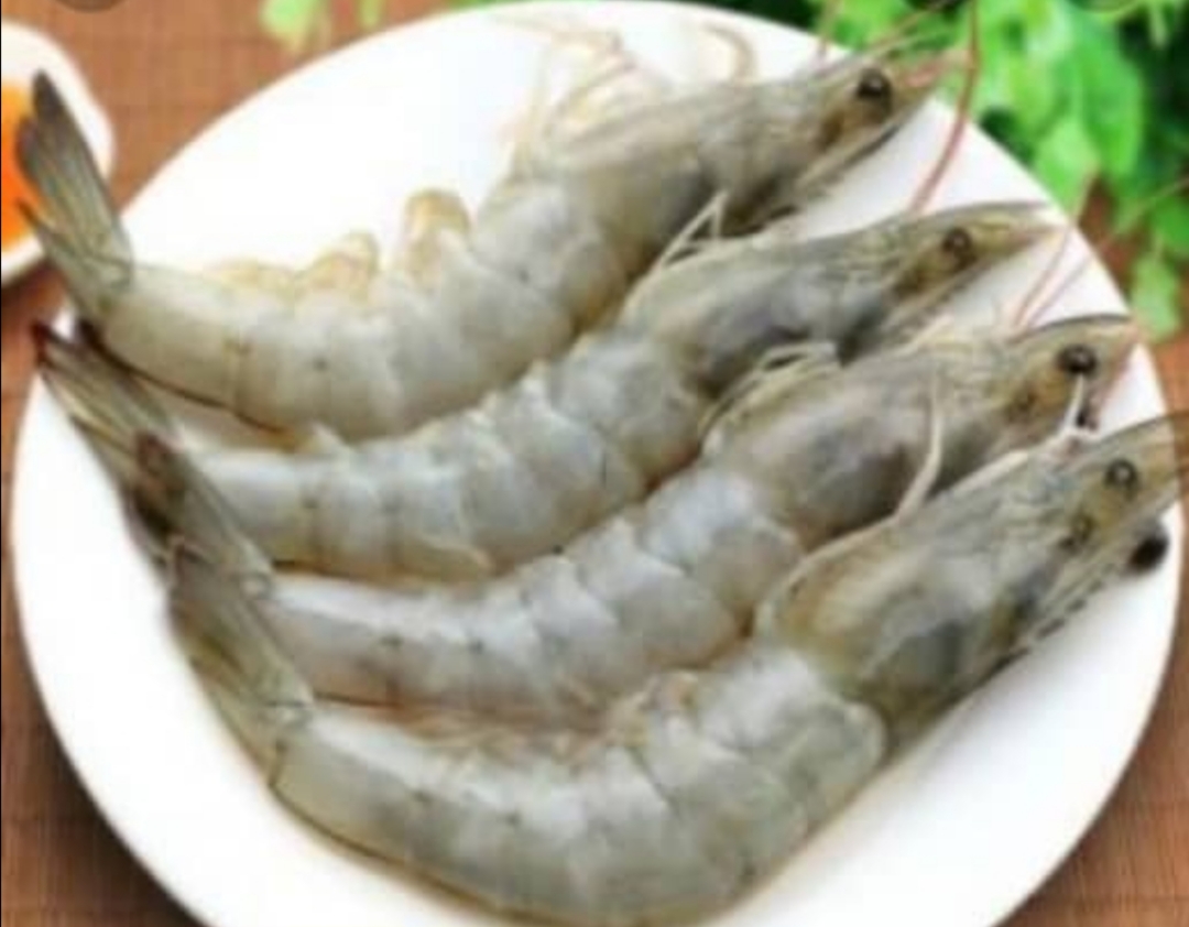 FRESH WHITE PRAWNS