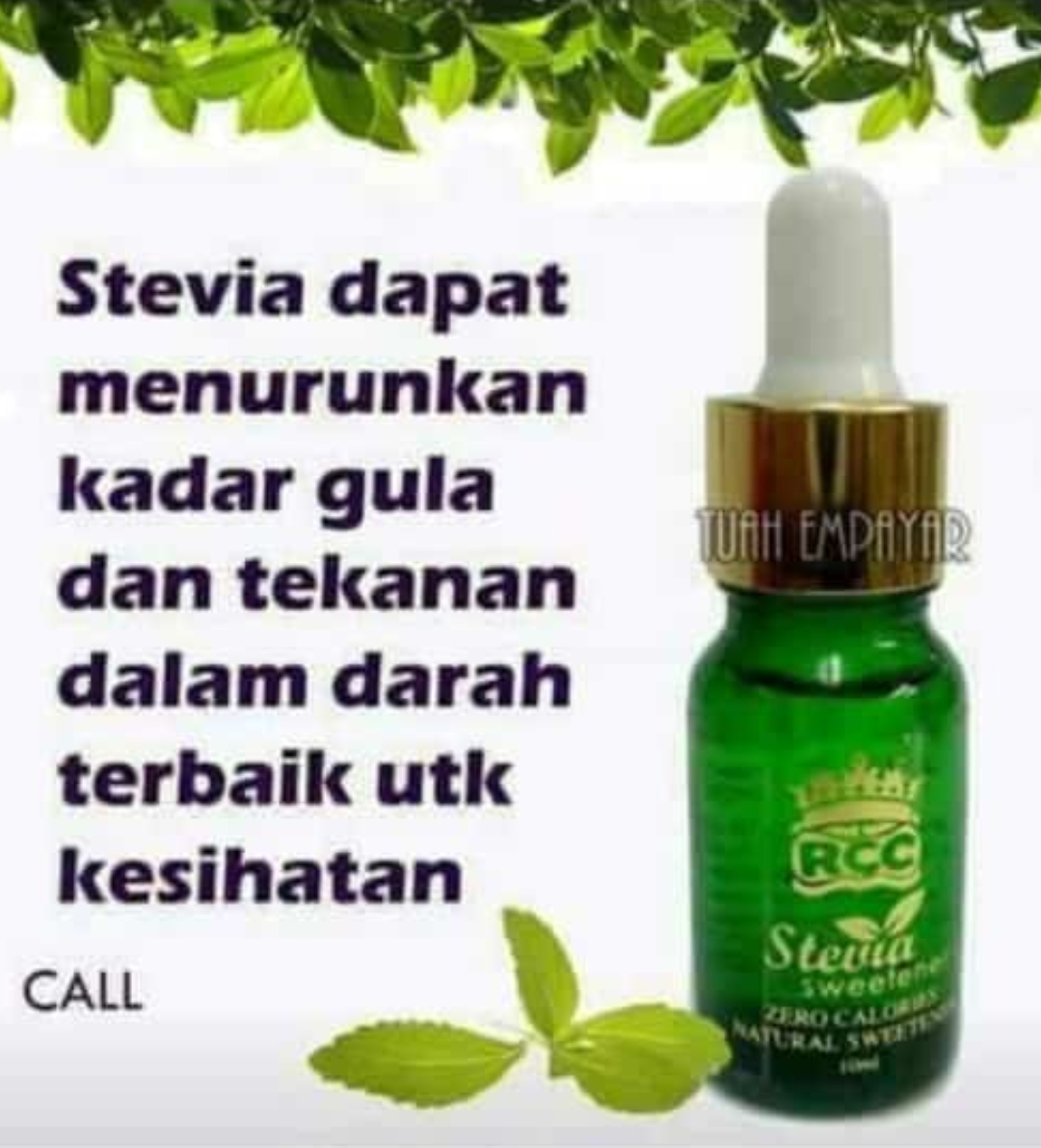 RCCW STEVIA